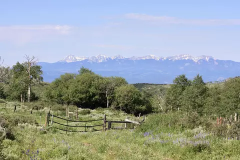 12951 Ms Rd, Glade Park, CO 81522