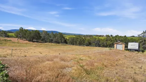 14375 Apache Ln, Collbran, CO 81624 photo 22