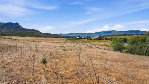14375 Apache Ln, Collbran, CO 81624 photo 20