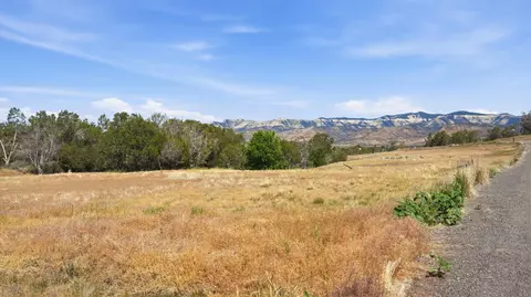 14375 Apache Ln, Collbran, CO 81624 photo 14