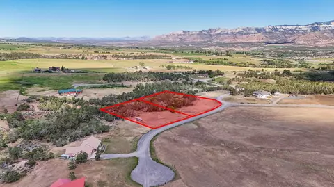14375 Apache Ln, Collbran, CO 81624 photo 9