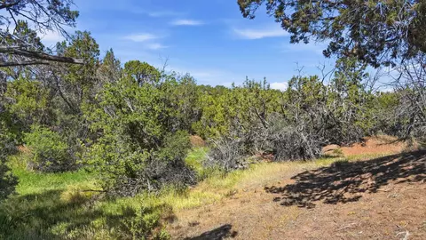 14375 Apache Ln, Collbran, CO 81624 photo 21