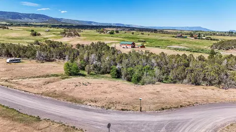 14375 Apache Ln, Collbran, CO 81624 photo 5