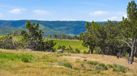 14375 Apache Ln, Collbran, CO 81624 photo 16