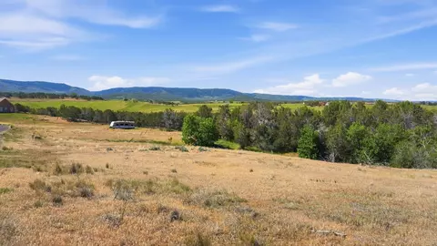 14375 Apache Ln, Collbran, CO 81624 photo 17