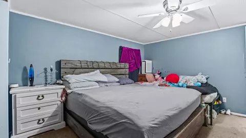 195 Honeysuckle Cir, Fruita, CO 81521 photo 17
