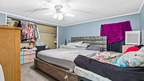 195 Honeysuckle Cir, Fruita, CO 81521 photo 18