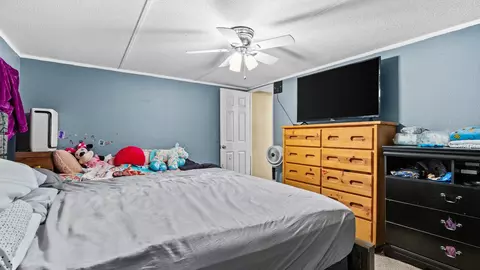 195 Honeysuckle Cir, Fruita, CO 81521 photo 19