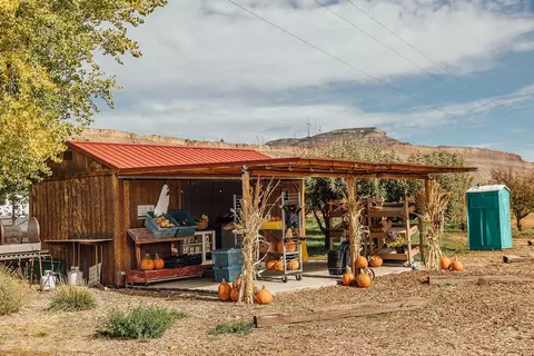 3526 Front St, Palisade, CO 81526