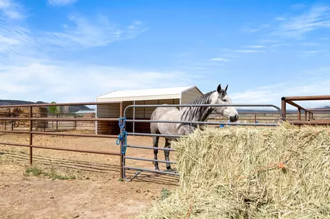 Other - 2022 45 Rd, De Beque, CO 81630 photo 5 of 14