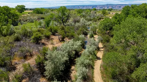 View/Area - 1726 O Rd, Fruita, CO 81521 photo 3 of 8