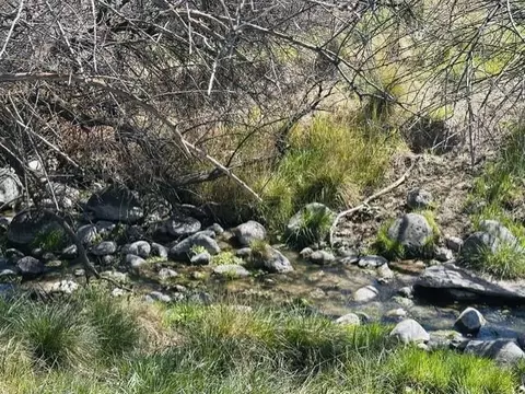 1010 SW 11th Ave, Cedaredge, CO 81413 photo 16