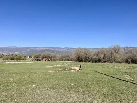 1010 SW 11th Ave, Cedaredge, CO 81413 photo 14