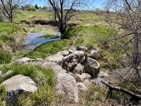 1010 SW 11th Ave, Cedaredge, CO 81413 photo 17