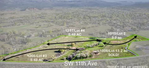 1010 SW 11th Ave, Cedaredge, CO 81413 photo 24