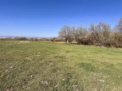 1010 SW 11th Ave, Cedaredge, CO 81413 photo 12