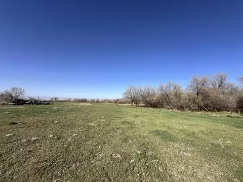 1010 SW 11th Ave, Cedaredge, CO 81413 photo 15