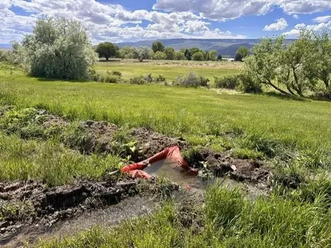 1010 SW 11th Ave, Cedaredge, CO 81413 photo 7