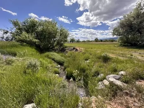 1010 SW 11th Ave, Cedaredge, CO 81413 photo 8