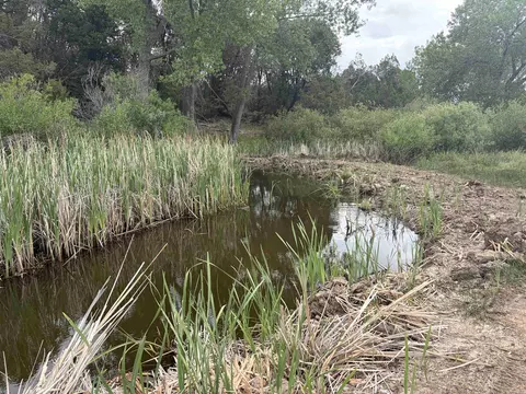 tbd Cactus Park Rd, Cedaredge, CO 81413 photo 6