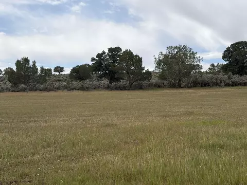 tbd Cactus Park Rd, Cedaredge, CO 81413 photo 2
