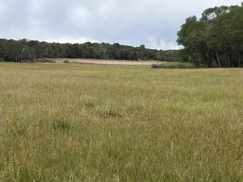 tbd Cactus Park Rd, Cedaredge, CO 81413