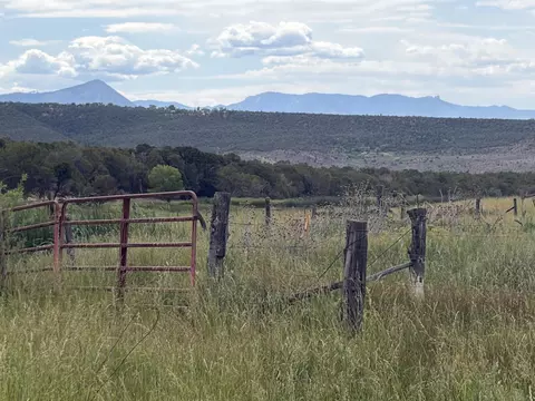 tbd Cactus Park Rd, Cedaredge, CO 81413 photo 8