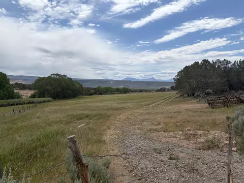 tbd Cactus Park Rd, Cedaredge, CO 81413 photo 12