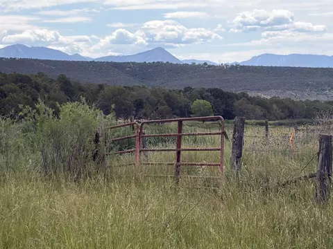 tbd Cactus Park Rd, Cedaredge, CO 81413 photo 9