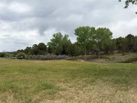 tbd Cactus Park Rd, Cedaredge, CO 81413 photo 11