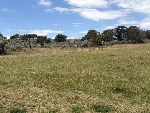 tbd Cactus Park Rd, Cedaredge, CO 81413 photo 10