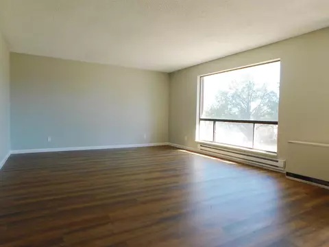 Living - 575 NE 4th St, Cedaredge, CO 81413 photo 1 of 3