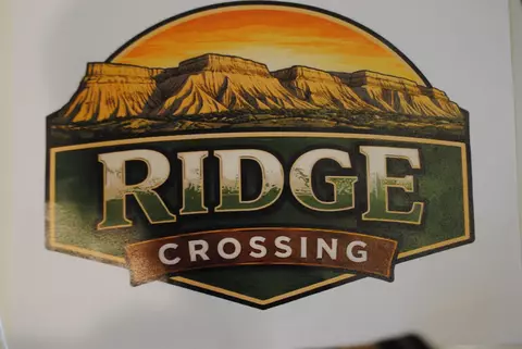 1878 Ridge Cover Ct, Fruita, CO 81521