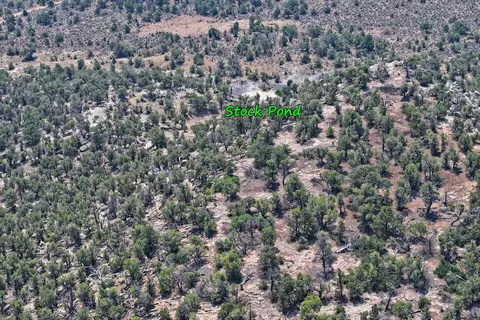 1775 35 110 Rd, De Beque, CO 81630 photo 19