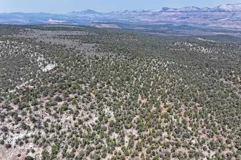 1775 35 110 Rd, De Beque, CO 81630 photo 35