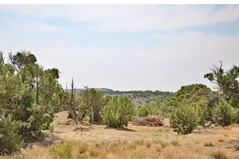 1775 35 110 Rd, De Beque, CO 81630 photo 36
