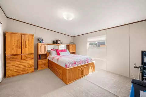 256 Clements Way, Fruita, CO 81521 photo 11