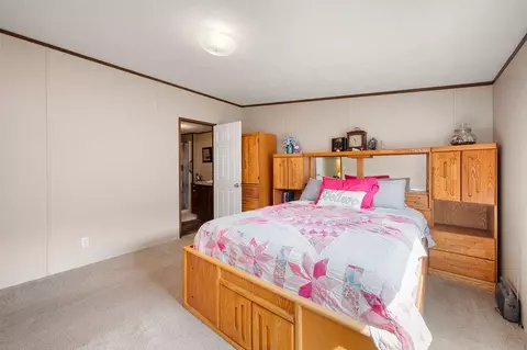 256 Clements Way, Fruita, CO 81521 photo 12