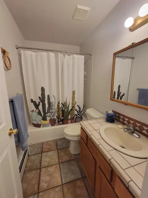 Bath - 149 Pinyon Dr, Fruita, CO 81521 photo 2 of 2