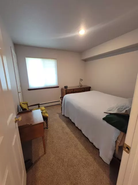 Bedroom - 149 Pinyon Dr, Fruita, CO 81521 photo 3 of 3
