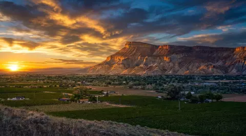 3770 Horse Mountain Rd, Palisade, CO 81526