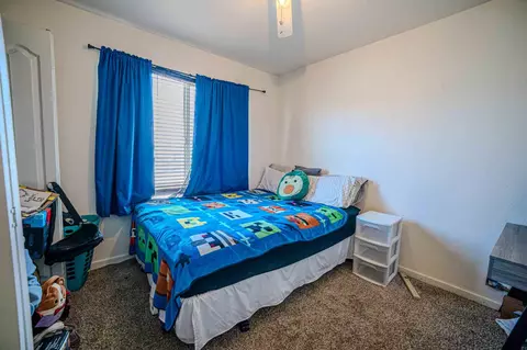 Bedroom - 723 Granite Dr, Fruita, CO 81521 photo 3 of 5