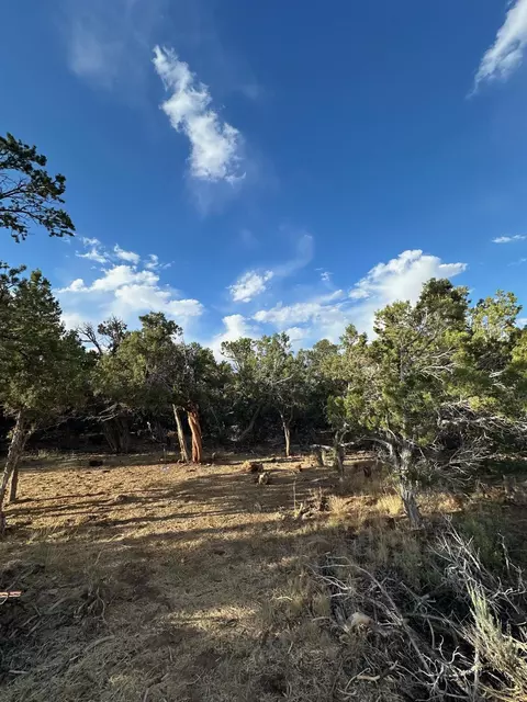 Exterior - 24500 Timothy Rd, Cedaredge, CO 81413 photo 6 of 9