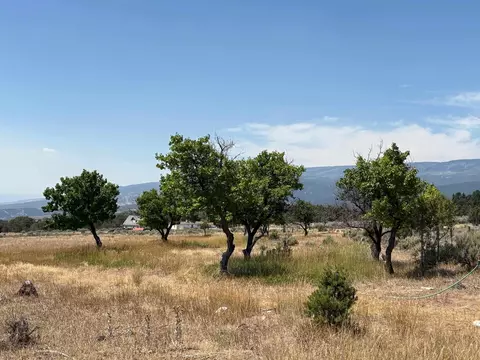 Exterior - 24500 Timothy Rd, Cedaredge, CO 81413 photo 5 of 9