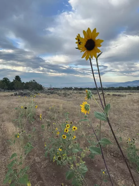 Other - 24500 Timothy Rd, Cedaredge, CO 81413 photo 9 of 15