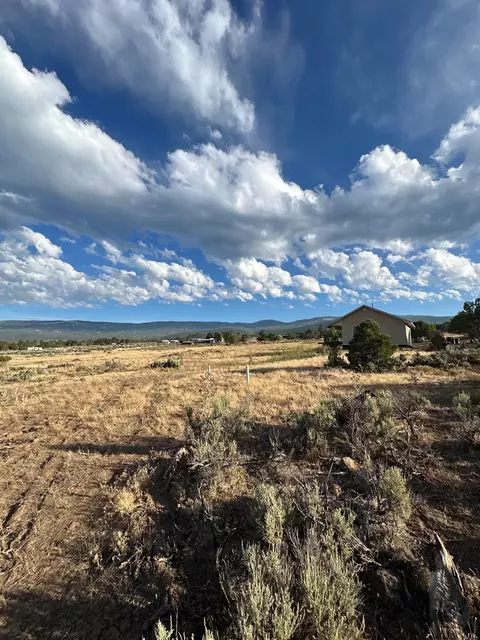 Exterior - 24500 Timothy Rd, Cedaredge, CO 81413 photo 7 of 9