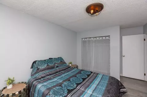 Bedroom - 137 N Cherry St, Fruita, CO 81521 photo 2 of 11