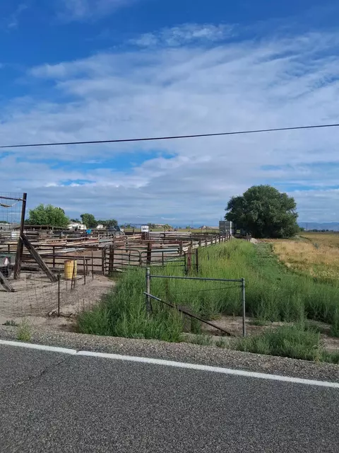 1682 M Rd, Fruita, CO 81521 photo 3