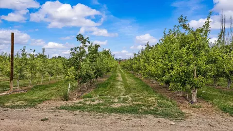 20977 Nowhere Rd, Eckert, CO 81418 photo 8
