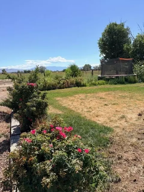 Exterior - 1130 20 Rd, Fruita, CO 81521 photo 4 of 8